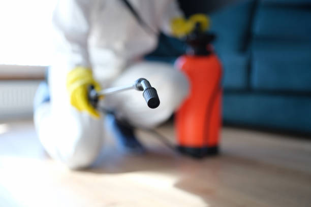 Best HVAC Mold Inspection and Cleaning  in Walton Park, NY