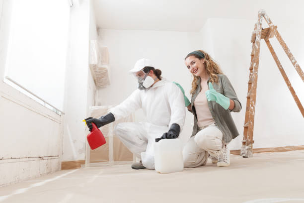 Mold Remediation for Rental Properties in Walton Park, NY